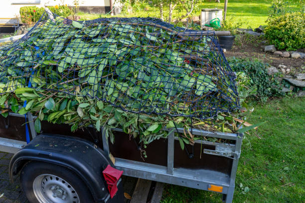 Best Same-Day Junk Removal Services  in Chisholm, MN